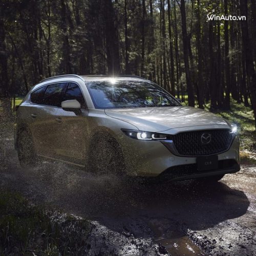Đánh giá xe Mazda CX-8 2025: Giá trị thực sự đằng sau chiếc SUV hạng D cao cấp Đánh giá xe Mazda CX-8 2025: Giá trị thực sự đằng sau chiếc SUV hạng D cao cấp